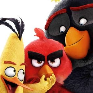 Meet your Posher, Vyshnavi